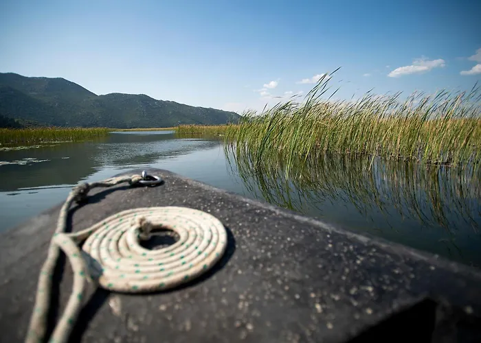 Вилла Family House Bubalo *